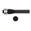 A2L thumbnail image