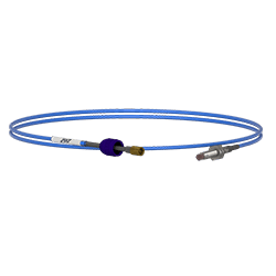 DP1009