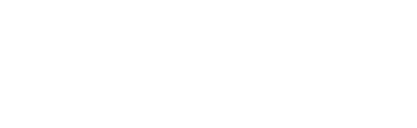 pro logo 