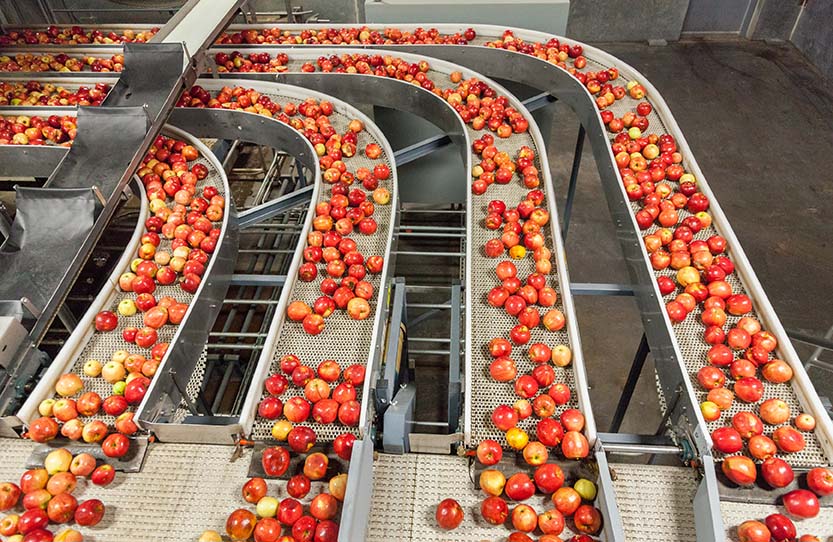 Vibration Monitoring for Food & Beverage Applications